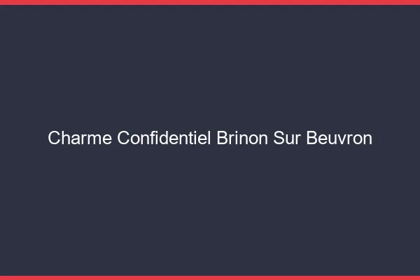 Charme Confidentiel Brinon-sur-Beuvron
