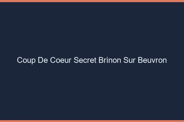 Coup de Cœur Secret Brinon-sur-Beuvron