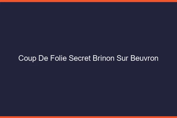 Coup de Folie Secret Brinon-sur-Beuvron