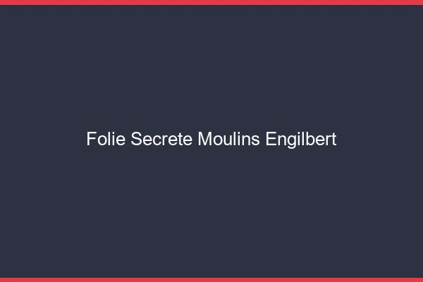 Folie Secrète Moulins-Engilbert