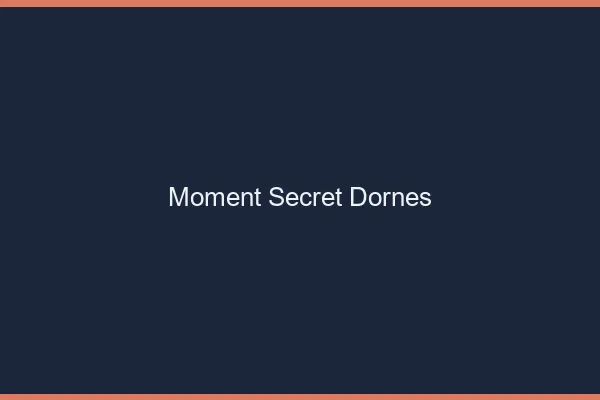 Moment Secret Dornes